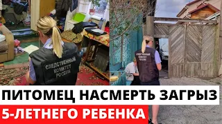 Их собака решила полакомиться сыном