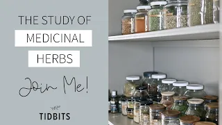 The Study of Medicinal Herbs | Let's Learn Together!