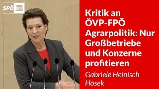 Kritik an ÖVP-FPÖ Agrarpolitik: Nur Großbetriebe und Konzerne profitieren - Gabriele Heinisch Hosek