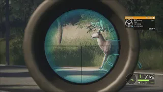 theHunter Call of the Wild diamond whitetail deer