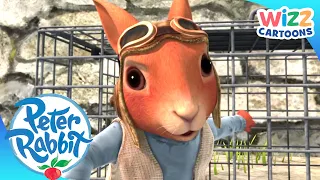 @OfficialPeterRabbit - Squirrel Rescue! | Action-Packed Adventures | Wizz Cartoons