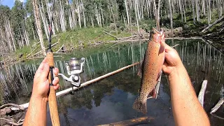 GOING OFF THE TRAIL - Mountain Trout Fishing Catch & Cook!!