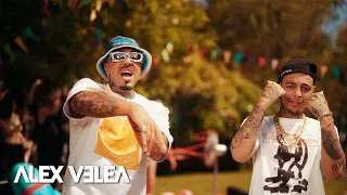 Alex Velea ❌ Albert NBN - E Marfa Tare | Official Video