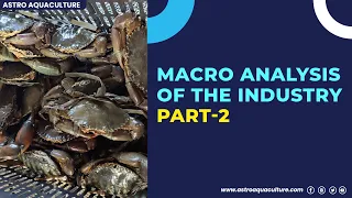 Macro analysis of the industry part 2