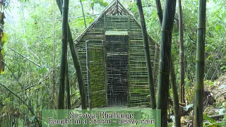 Survival Instinct - The 6 Month Survival Challenge In The Jungle - part 20