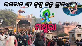 ବୃନ୍ଦାବନ ଧାମ କୁ ଯାତ୍ରା ୨୦୨୩ ଵିଦାୟ ବର୍ଷ ରେ🙏 Virndavan dham yatra2023Mathura virndavan tour odia