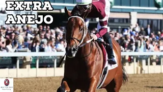 Extra Anejo is Back!!!! | Churchill Downs Race 7 Full Replay