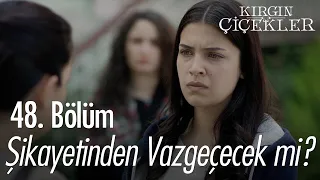 Mesude, Eylül'ü kararından vazgeçirebilecek mi? - Kırgın Çiçekler 48. Bölüm