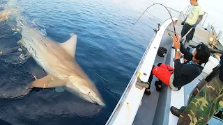 釣り終了間際に着底させた仕掛けに200kg越えのサメが食いついた…⁉【超巨大サメを釣る 前編】