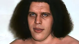 What Andre The Giant Was Like The Last Time These Celebs Saw Him Alive