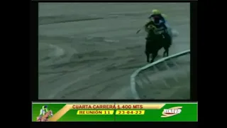 4ta. carrera |  Caribbean Thunder | Hipódromo Nacional de Valencia | Reunión 11 | 2022