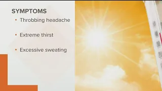 Heatstroke prevention tips as Georgia heats up