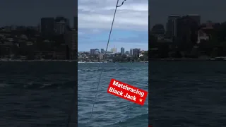 Match racing Black Jack, a super maxi #sydneyharbour #sydney #sailing #racing #blackjack #sail