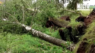 Сводка  Утонул 8 летний мальчик в Демьяново  Место происшествия 29 06 2020