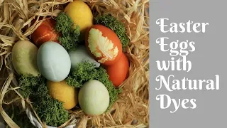 HOW TO COLOR EASTER EGGS WITH NATURAL DYES | INTHEKITCHENWITHELISA