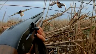 YAĞMUR VE RÜZGARDA MÜHRELİ ÖRDEK AVI - ÖRDEK AVI 2021 - DUCK HUNTİNG