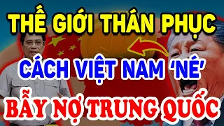 Cả Thế Giới THÁN PHỤC Cách Việt Nam "NÉ BẪY NỢ" Trung Quốc Đầy Vi Diệu ! | Triết Lý Tinh Hoa