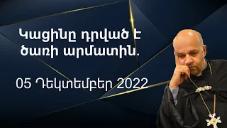 Կացինը դրված է ծառի արմատին․