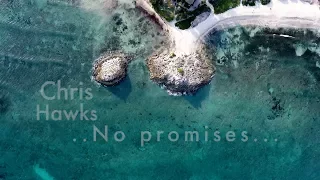 No Promises - Cheat Codes ft Demi Lovato (Chris Hawks Cover)