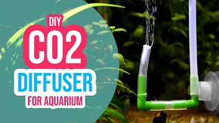 3 Creative DIY CO2 Diffuser Ideas for Your Planted Aquarium