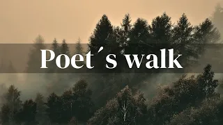 Poet´s walk, dark academia | sleep and relax piano and wind | peaceful calm music for reading 🎶