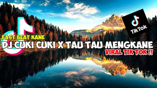 DJ Cuki Cuki x Tau Tau mengkane Viral tik tok (fast beat kane)🎧