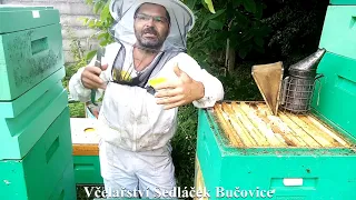 158/21 Vyjmutí plástů - izolátorů plástových z úlu a obměna díla. Včelařství Sedláček