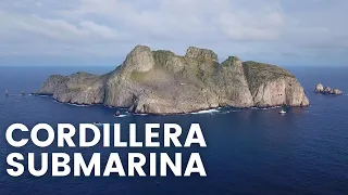 ISLA MALPELO