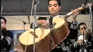 EL CANTAR DE UN GUITARRON mariachi sol de mexico