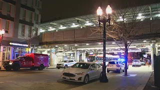 Man found dead on CTA Red Line tracks: police