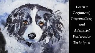 1 Beginner's, 1 Intermediate, & 1 Advanced Watercolor Technique for ANY subject! - Dog Portrait Demo