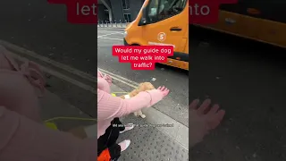 Would my guide dog let me walk into traffic?