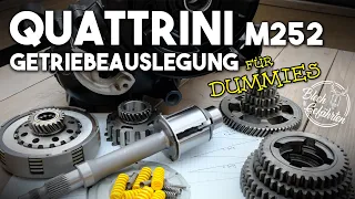 Wie schnell fährt die Quattrini M252 Vespa? | Vmax und Leistung berechnen für Dummies | PXConversion