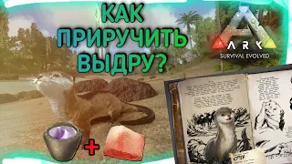 ПРИРУЧЕНИЕ ВЫДРЫ В ARK Mobile | ARK Survival Evolved Mobile, Арк Мобайл , приручение , taming