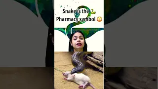 🐍snake is the symbol of Pharmacy😨 #pharmacy_symbol #bpharmacy #shorts #sakshirajput