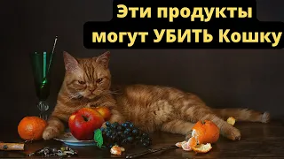Опасные для Кошек продукты | Чем нельзя кормить кошек