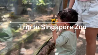 Singapore Zoo & KidzWorld