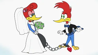 El Pájaro Loco | Woody no quiere casarse | 1 Hora de Episodios Completos