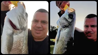 לברקים על אולטרה לייט במקום מפתיע sea bass / ul fishing