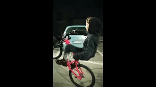 edit wheelie rockrider