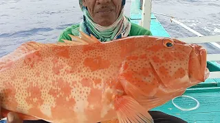 bagong tuklas na spot isang buong familyang red grouper at klas klasing isda