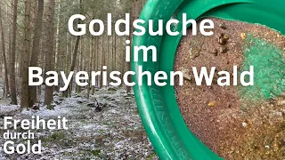 Goldsuche im bayerischen Wald