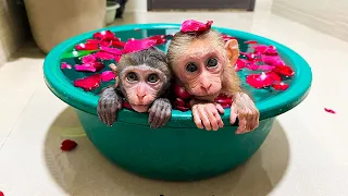 Momo and Nana are bathed and given special care by their mother!