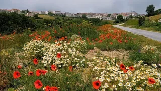 Capracotta, the town of storms.