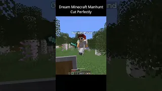 DREAM Manhunt Minecraft Cut PERFECTLY #shorts #dream #minecraft