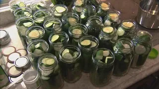 Pickle Lady (Texas Country Reporter)