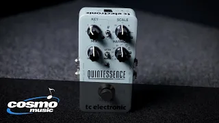 TC Electronic Quintessence Harmonizer Quickview - Cosmo Music