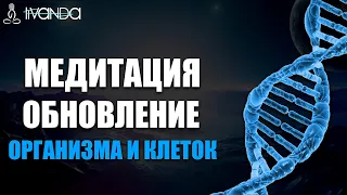 Медитация Обновления Организма | Исцеляющий Водопад Космической Энергии 💎 Ливанда