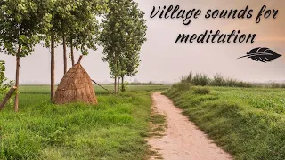 1 час деревенских звуков, пение птиц для сна * 1 hour of village sounds, birdsong for sleep