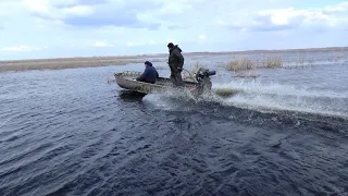 Монстры болотоходы, по камышам и меляку.